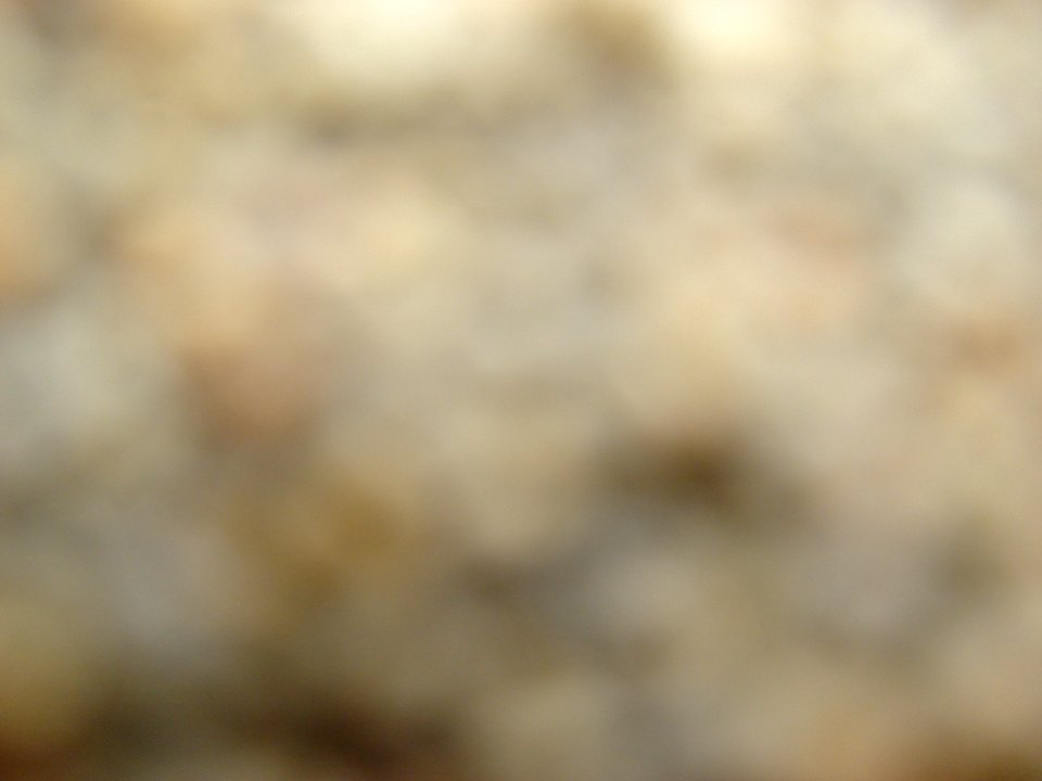 dsc01409.jpg 