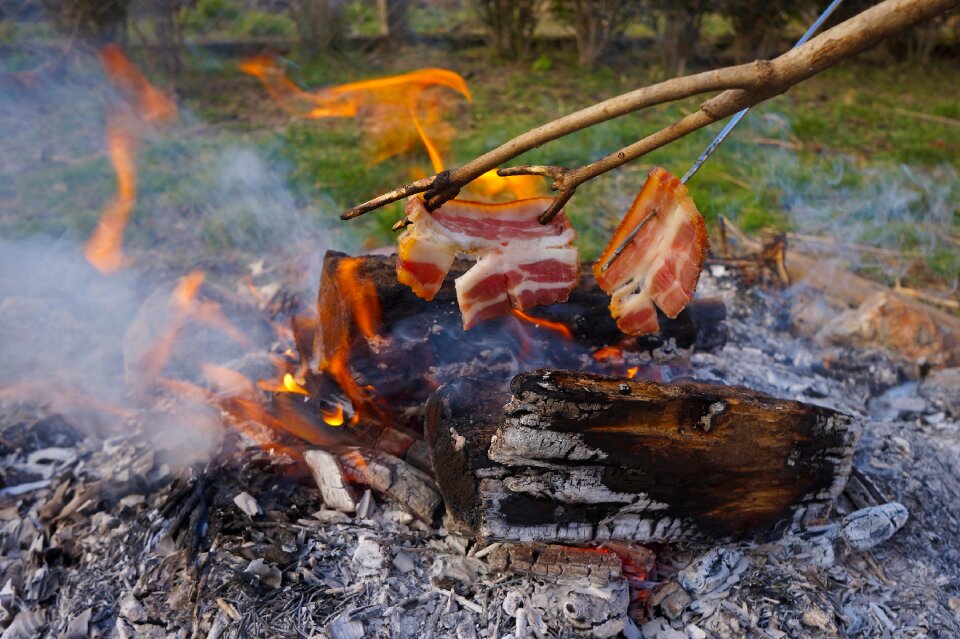 Barbecue nature fire