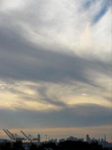 IMG_3296 