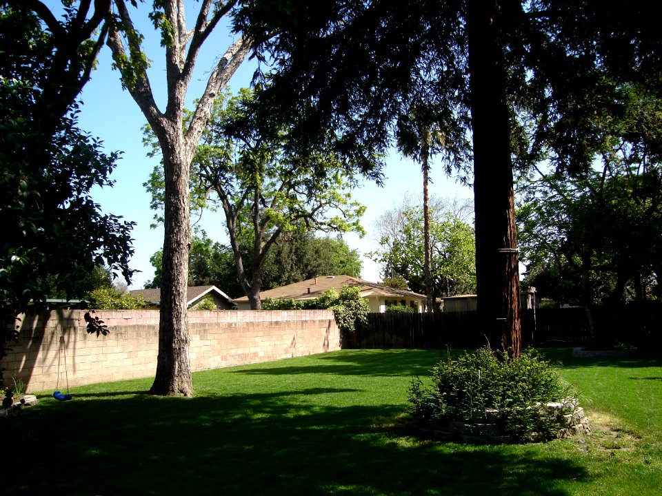 dsc00082.jpg 