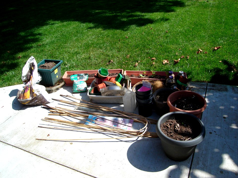dsc00080.jpg 