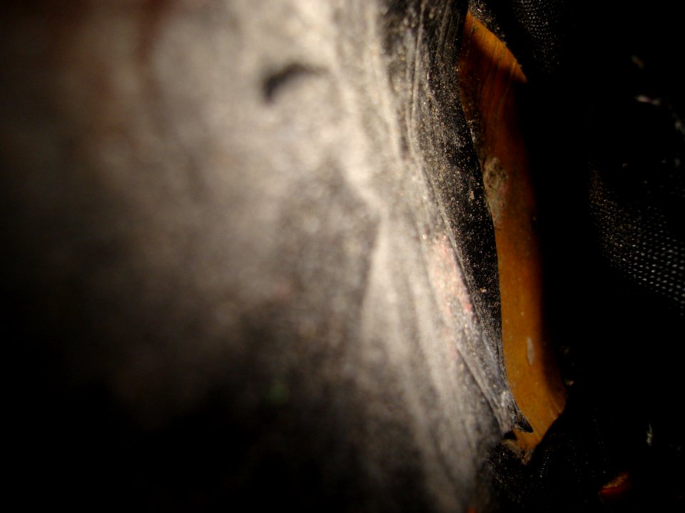 dsc00096.jpg 