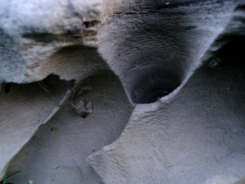 dsc00130.jpg 