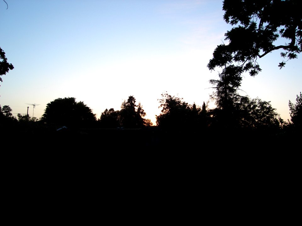 dsc00132.jpg 
