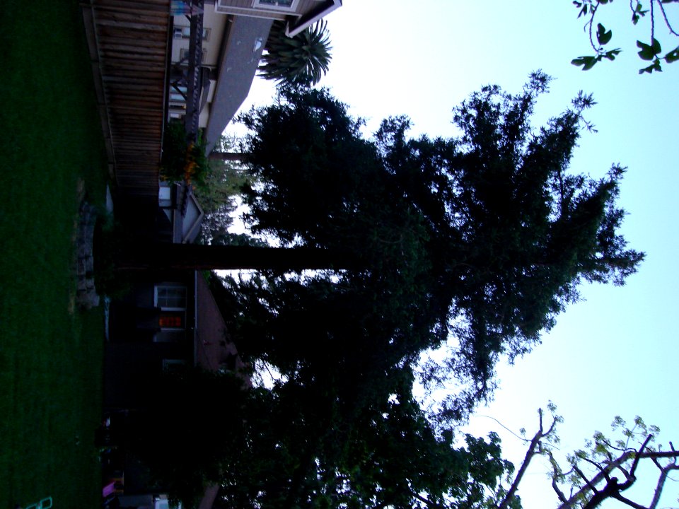 dsc00134.jpg 