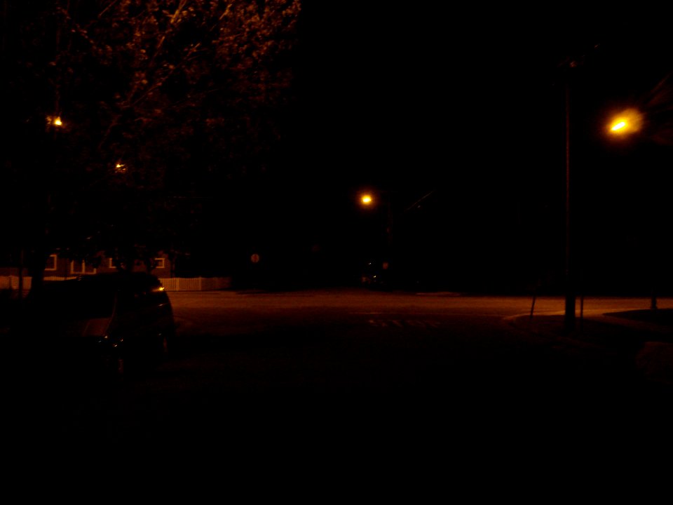 dsc00150.jpg 
