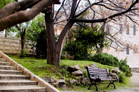 Birzeit ramallah palestine