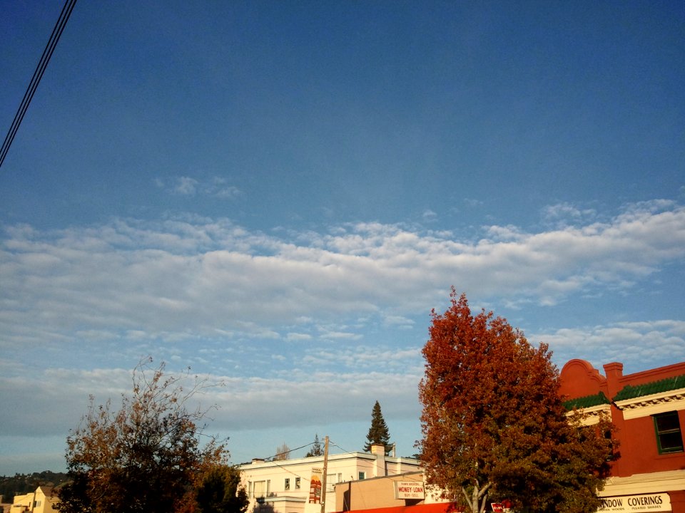 2010-11-13 16.00.17 