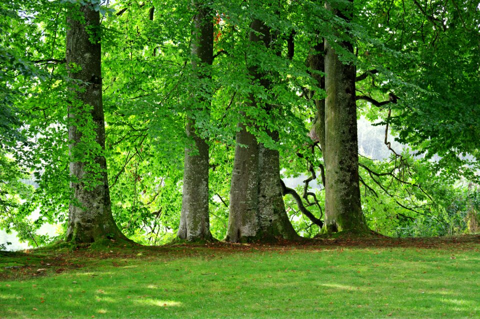 Green recovery environment