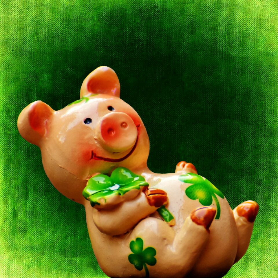 Cute lucky charm sow