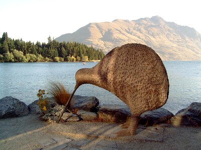 Queenstown bird statue