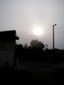 2010-12-11 15.23.33 