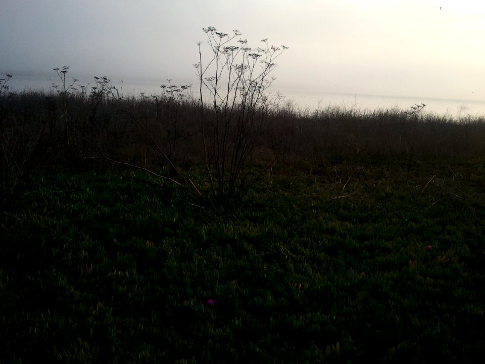 2010-12-11 16.01.33 