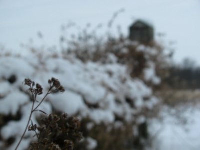 IMG_3994 