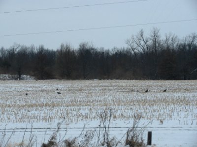 IMG_3995 