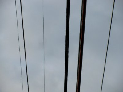 IMG_4084 