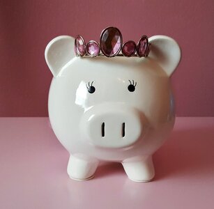 Pink savings save photo