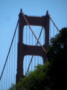 IMG_4263 