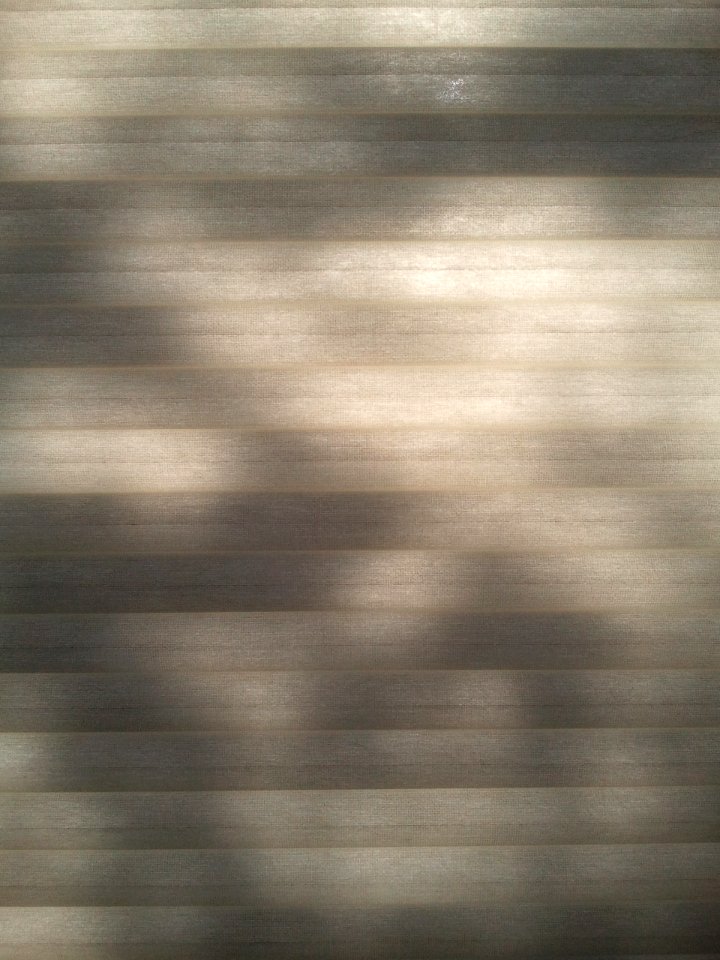 2011-04-27%2007.54.34 