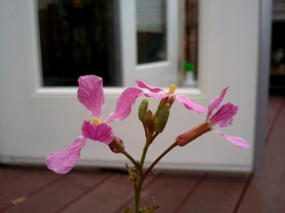 2011-06-05%2012.33.23 