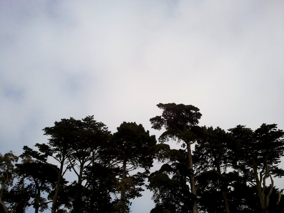 2011-06-25%2016.31.57 
