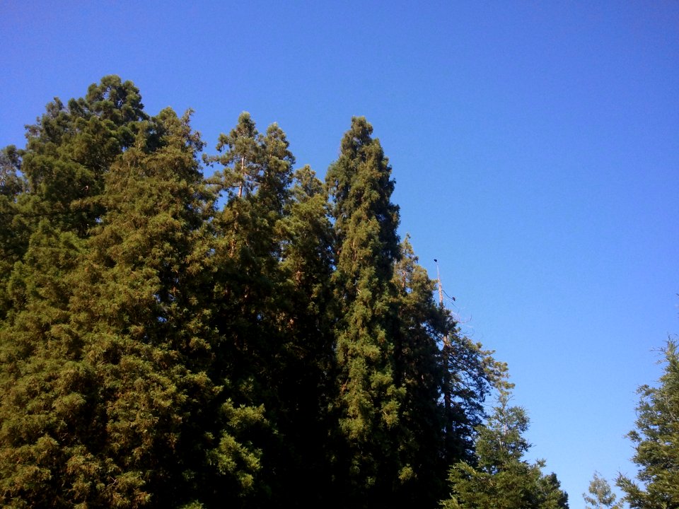 2011-07-02%2009.24.02 