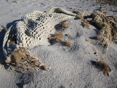 Sand sea flotsam photo