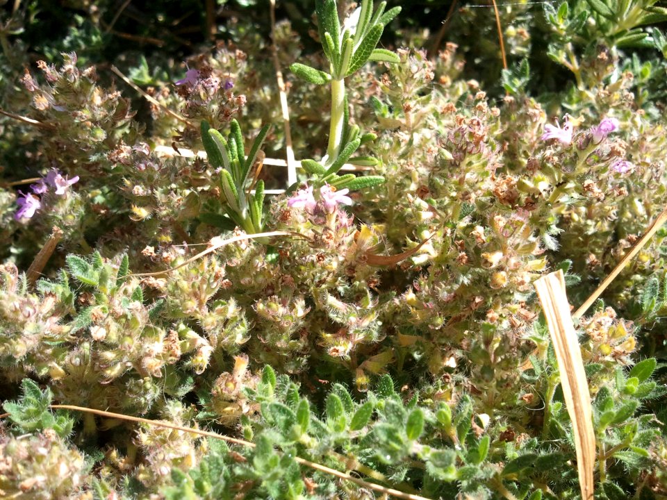 2011-07-08%2010.29.38 