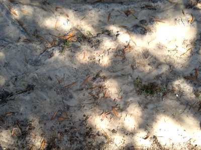 2011-08-15%2010.36.01 