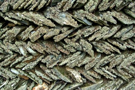 Lichen old herringbone photo