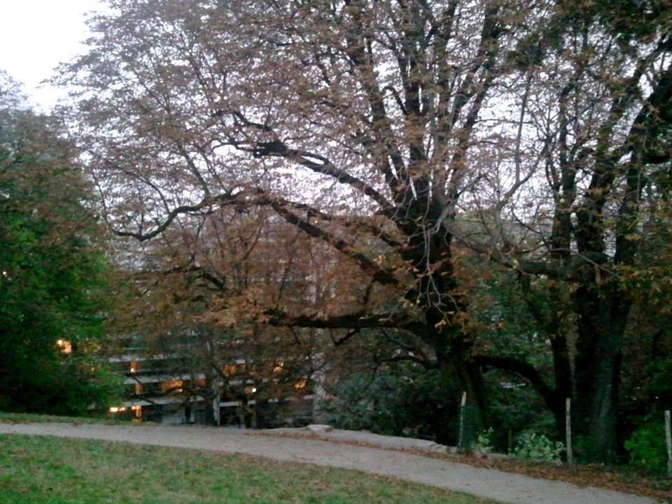 2011-09-21%2019.59.22 