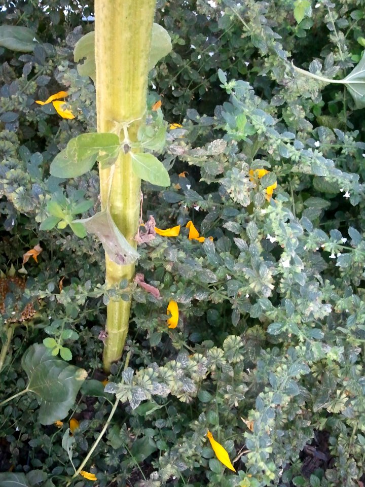 2011-09-30%2012.27.53 