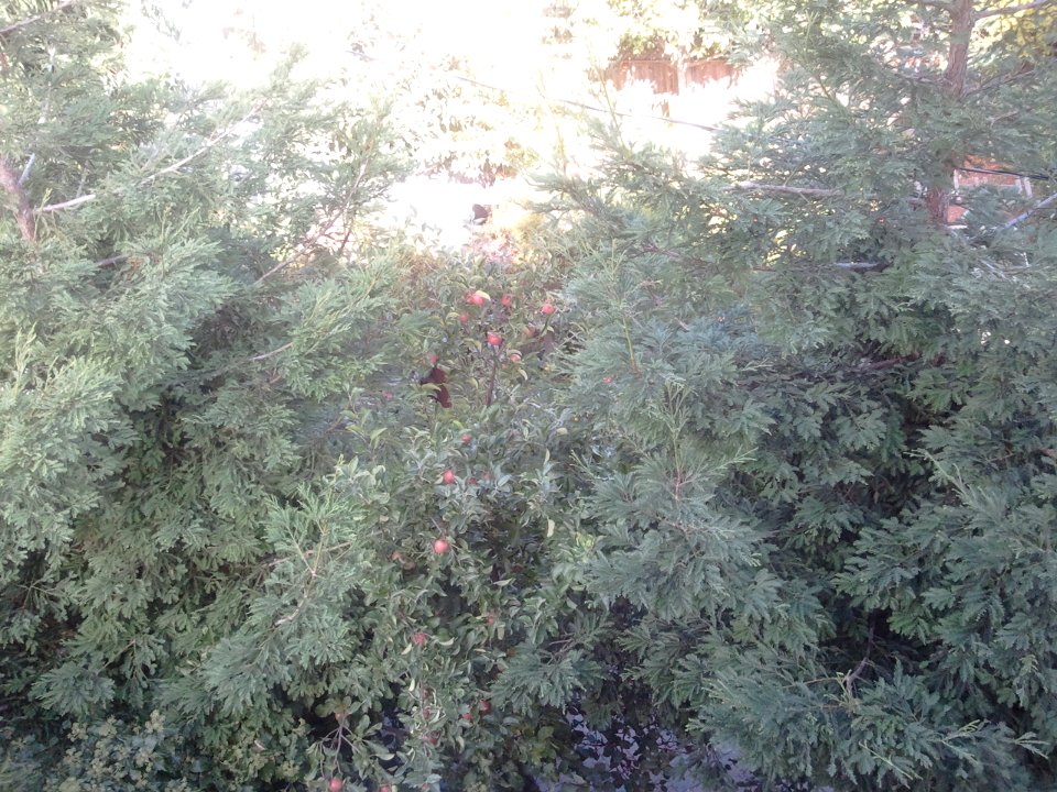 2011-10-01%2015.29.10 