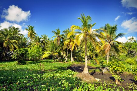 Destination holiday honeymoon