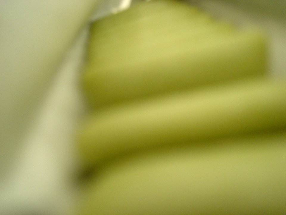 dsc01570.jpg 