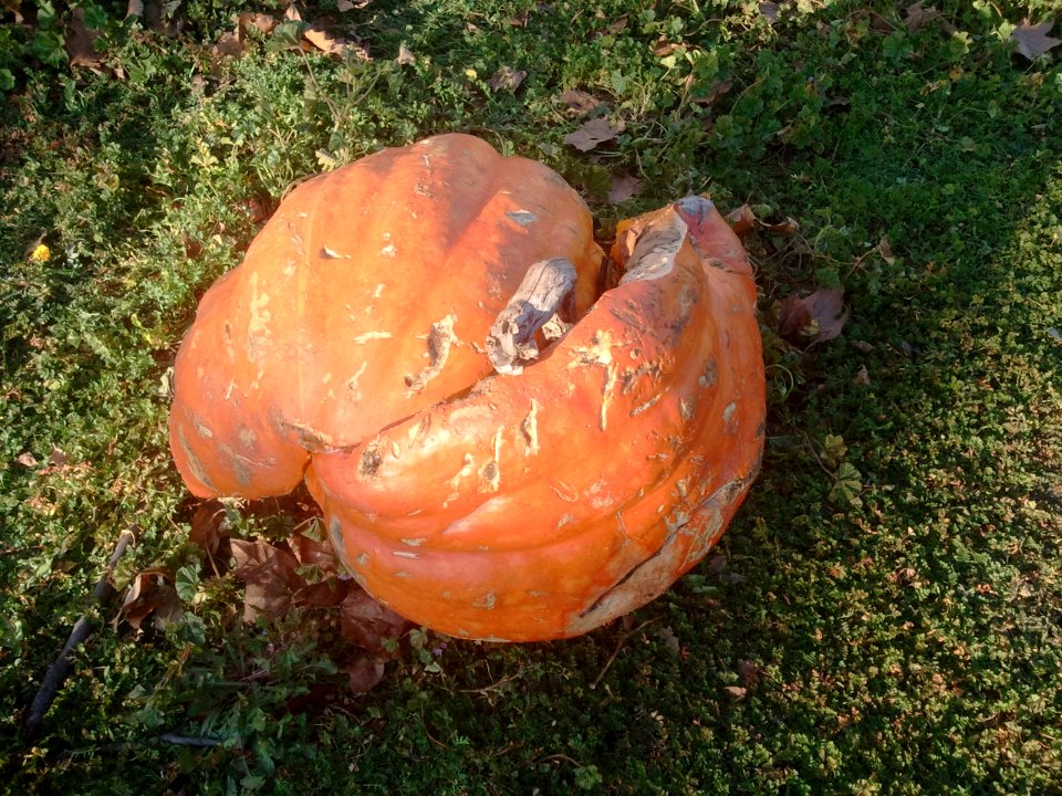 2011-12-17%2015.12.25 