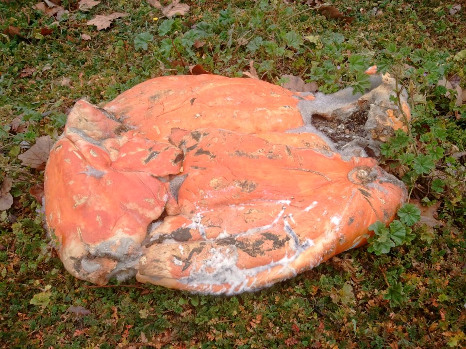 2011-12-30%2011.26.05 