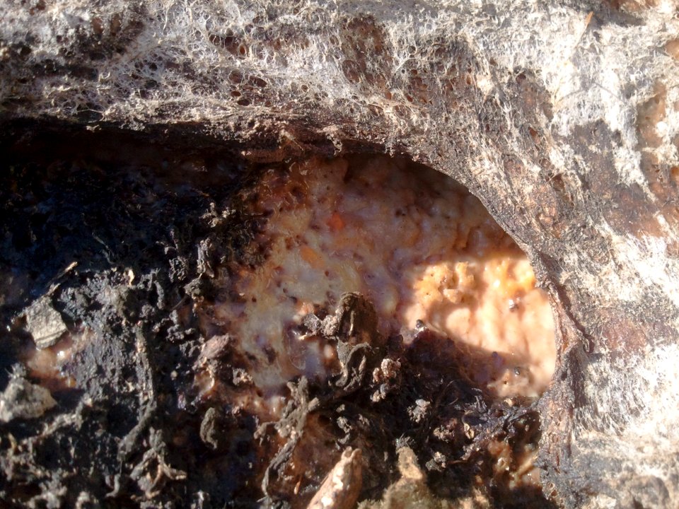 2012-01-12%2012.43.54 