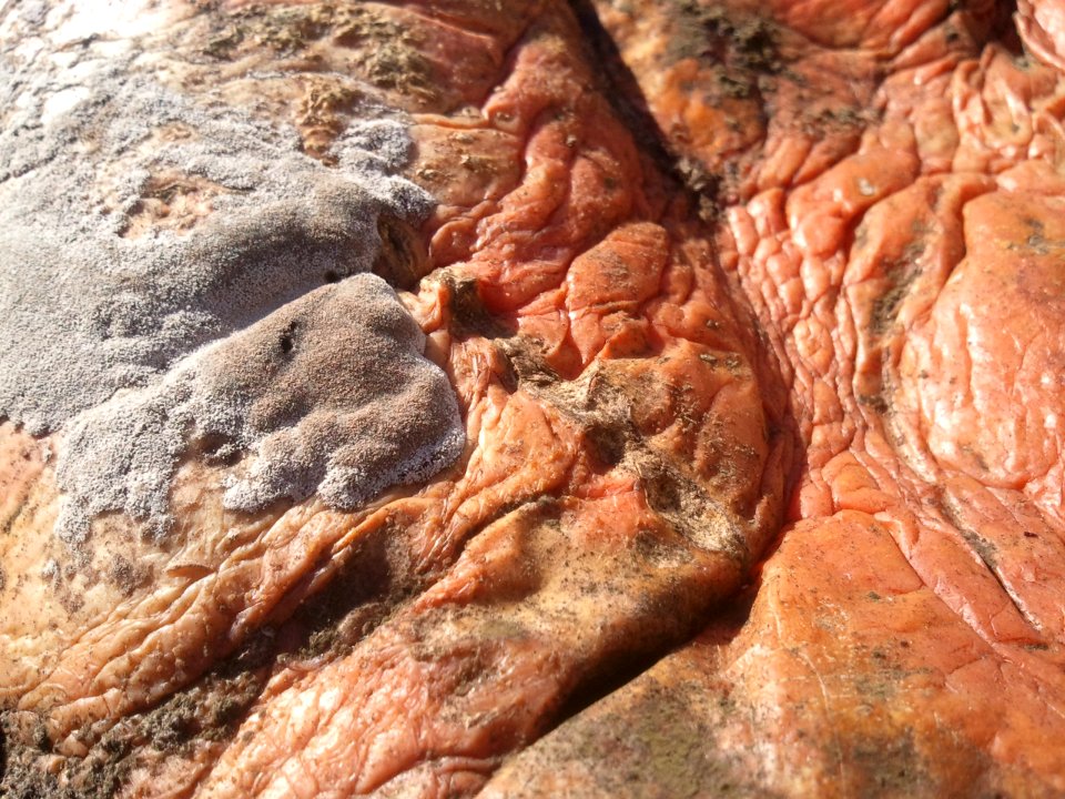 2012-01-12%2012.44.11 