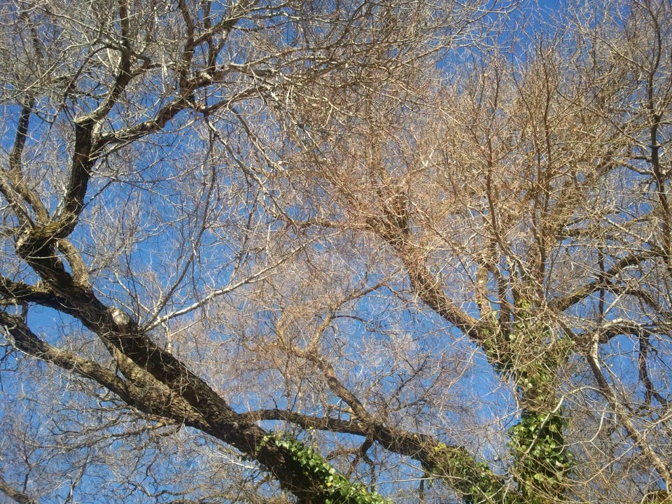2012-01-12%2012.52.04 