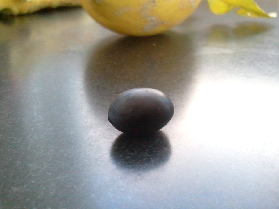 2012-01-16%2010.57.31 