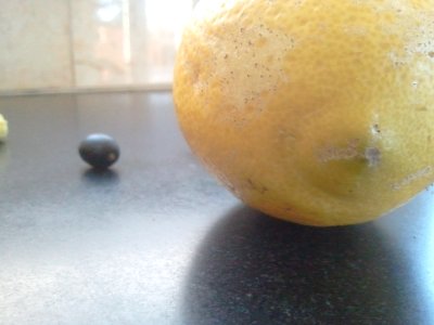 2012-01-16%2011.00.32 