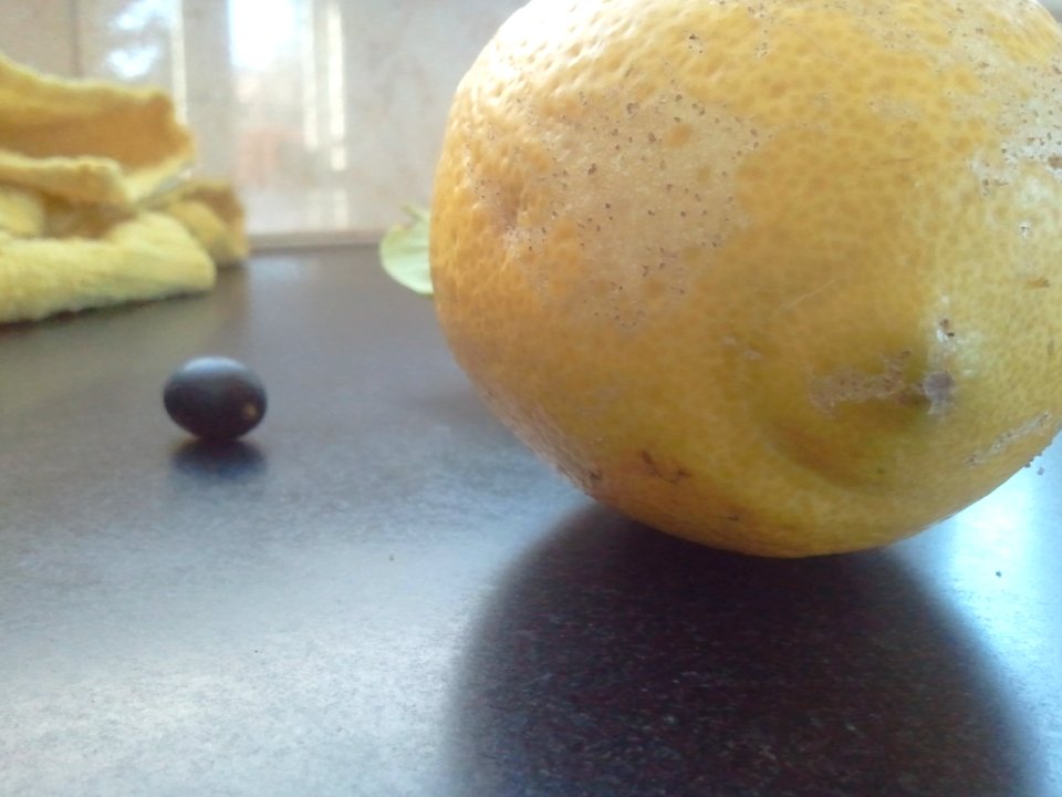2012-01-16%2011.01.32 
