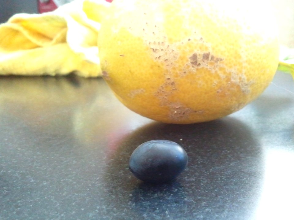 2012-01-16%2010.57.06 