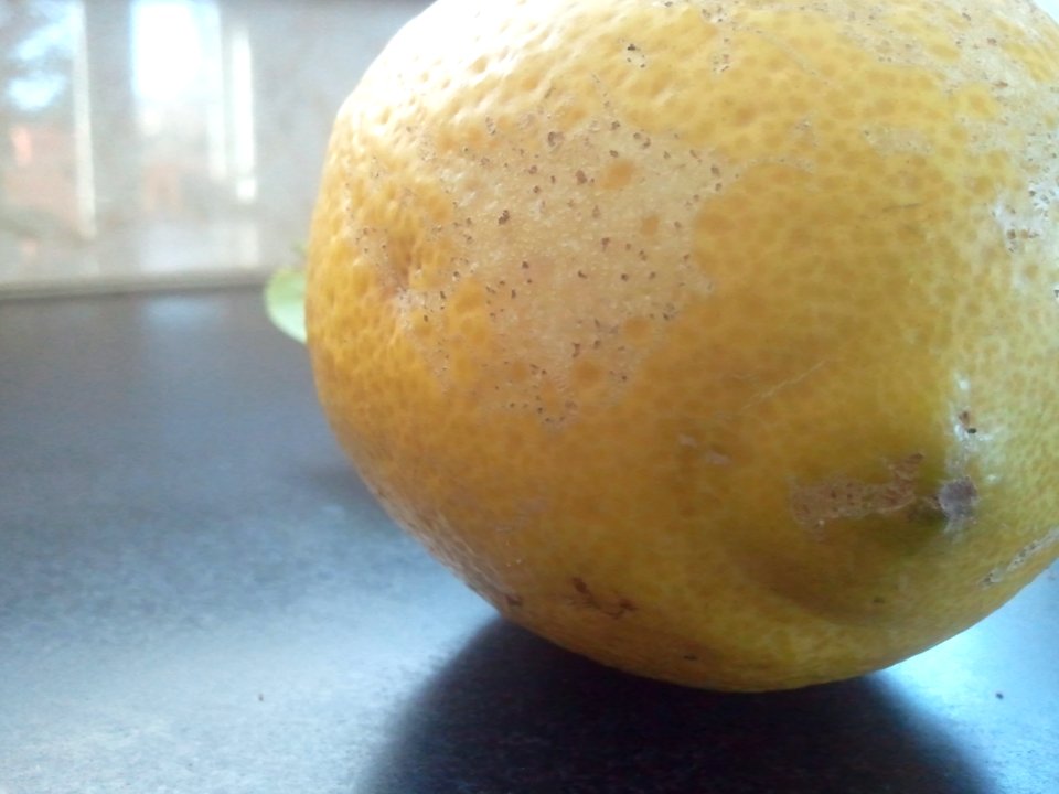 2012-01-16%2011.00.02 