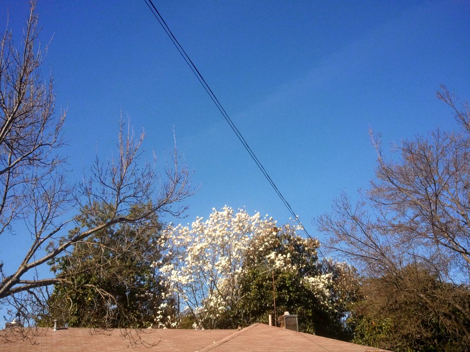 2012-02-25%2010.28.46 