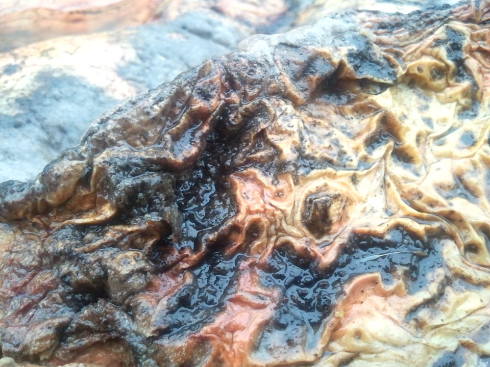 2012-01-20%2011.36.44 
