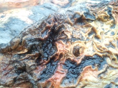 2012-01-20%2011.36.44 