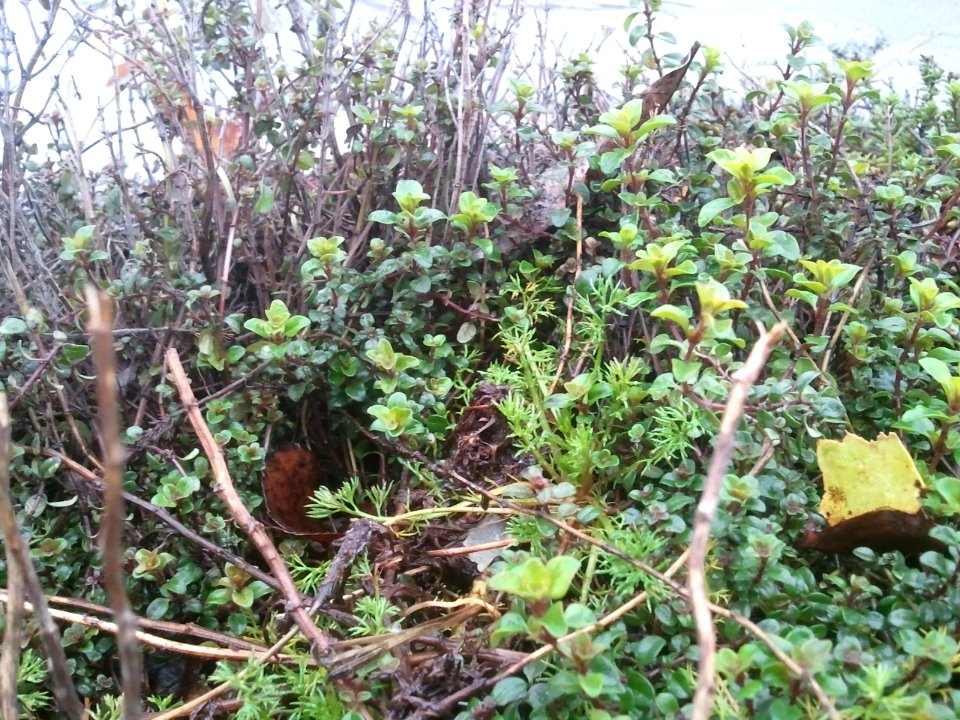 2012-01-23%2010.29.52 