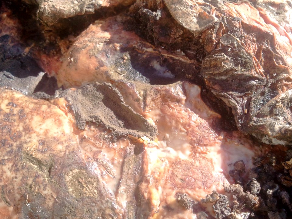 2012-01-28%2011.47.37 